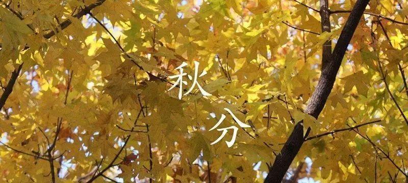 秋分养生朋友圈文案（秋分养生祝福语送客户）