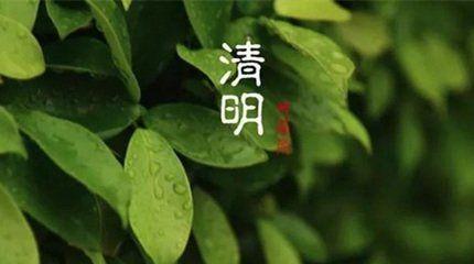 有关清明节祭祖扫墓慰问短信2024的句子怎么写（致敬英灵，感恩先人，共筑中华文化根基）