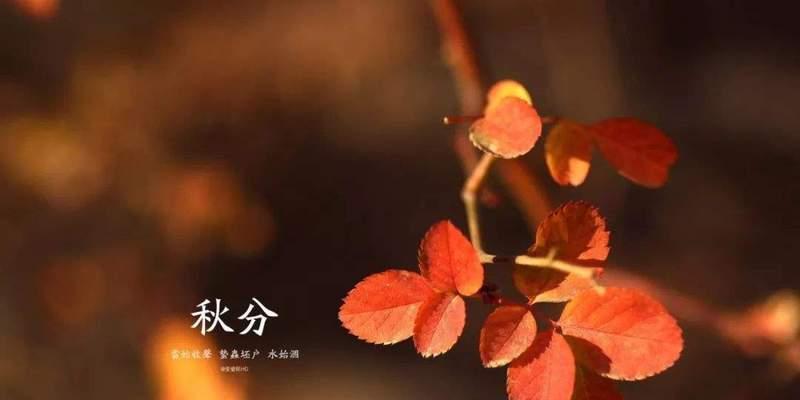 2029情人节怎么说（2024年情人节，我们的爱情将如何升华）