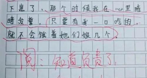 以比较惊讶的事情为话题的作文怎么写（《寻找真相的旅程》）