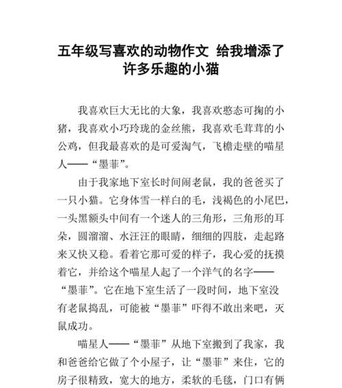 充满了乐趣用英语怎么写（《我的乐园：一个充满乐趣的世界》）