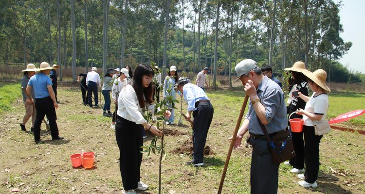 2024年植树节宣传语（唤醒绿意）