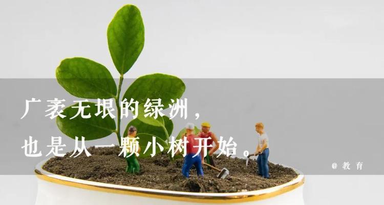 2024年植树节文案（和大自然心手相连）