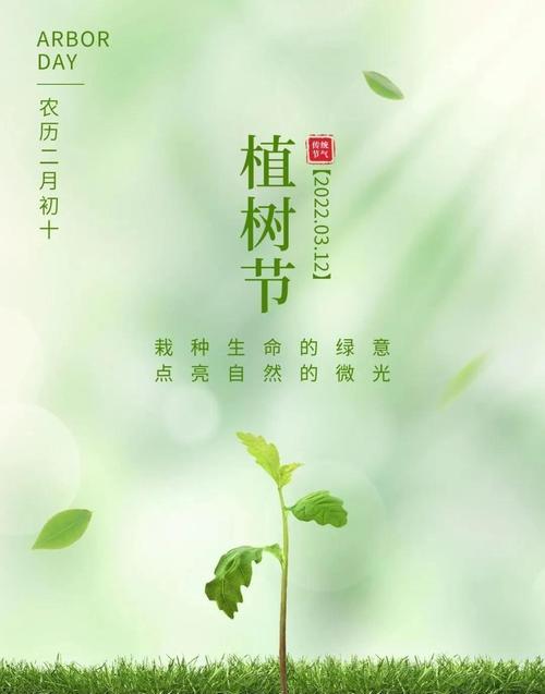 2024年植树节文案（和大自然心手相连）