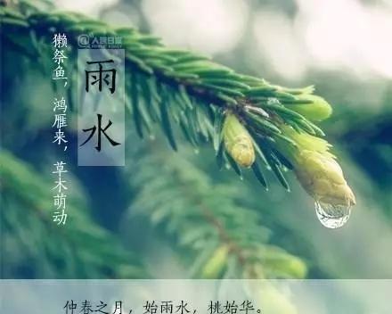 2024年雨水节气的含义是什么意思（唯美雨水节气，温润大地）