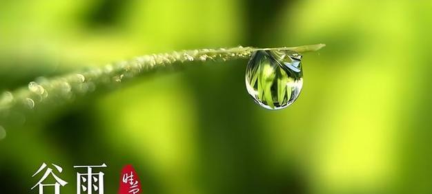 雨水节气怎么发朋友圈（唤醒沉睡的大地，迎接春天的脚步）