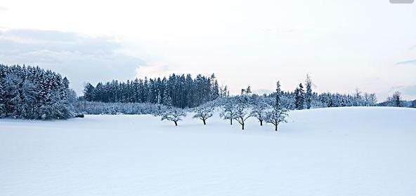 今年第一次下雪怎么发朋友圈（雪花飞舞，繁华梦境；2024新年，迎来初雪）