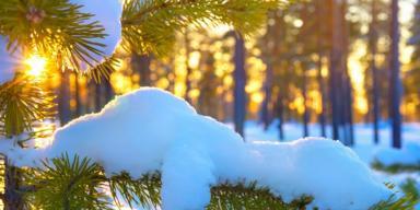 今年第一次下雪怎么发朋友圈（雪花飞舞，繁华梦境；2024新年，迎来初雪）