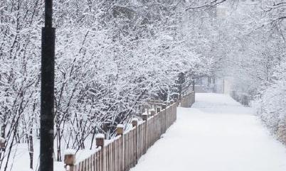 下雪了的朋友圈怎么发（白雪纷飞，冬日芬芳）