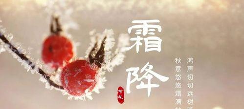 霜降怎么发朋友祝福的说说（2024霜降祝福语句子，温暖你的心）