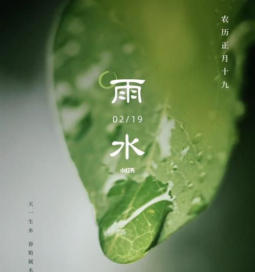 雨水节气怎么发朋友圈（2024雨水节气，一场盛大的自然饕餮盛宴）