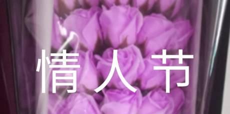 2024年的情人节怎么发朋友圈（2023情人节祝福语，唯美短句感动爱人）