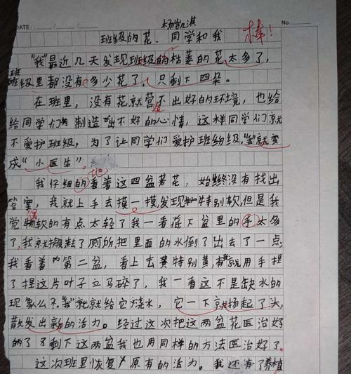 关于我有一个想法的作文怎么写（《一个梦想的实现与困难》）