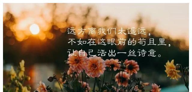 年轻真的好的词怎么说（年轻真好——青春永驻）