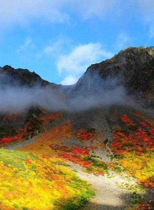 大山里面的美景怎么形容（大山里的美景）