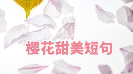 描写樱花的优美短句（樱花浪漫之美：绚烂如梦）