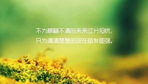 人无完人的句子上句是怎么说的（人无完人——唯美句子的艺术韵味）