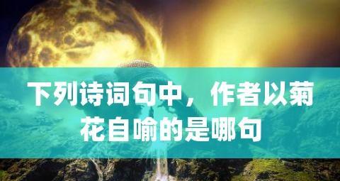 赞美菊花的诗句或名言警句（菊花篇——秋日唯美诗意）