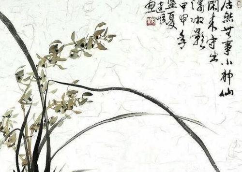 有关兰花唯美诗句经典名句的句子大全（兰花唯美诗句经典名句）