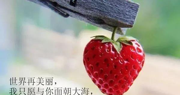 各种不理解人的段子（距离）