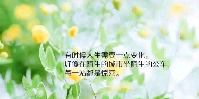 卖货发朋友圈怎么说（朋友圈卖货，唯美短句盛宴）