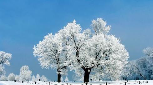 含有雪的飞花令古诗词（飞雪唯美诗句——唯美飞花令）