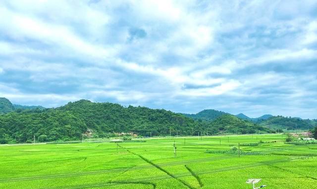 以美丽的田野为话题的作文怎么写（《TheBeautifulField》）