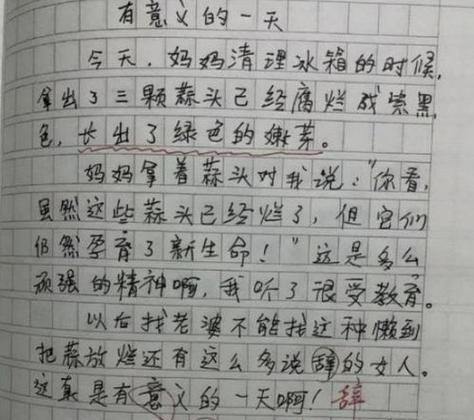 有关象征着纯洁的作文素材（《花开在纯洁的心间》）