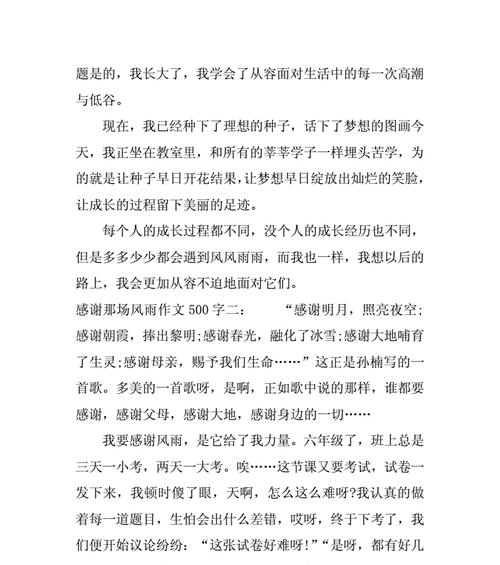 灿烂的未来是什么意思（《那些关于梦想的坚持》）