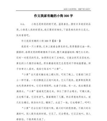 温柔与善良是什么意思（《温柔与善良》）