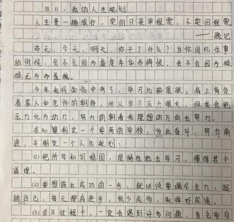 豪迈的誓言什么意思（《永不放弃的勇士》）