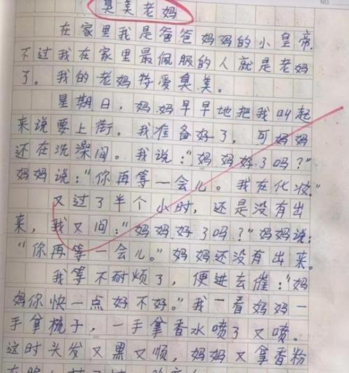 敬佩的奶奶作文350字以上怎么写（《默默付出的温暖》）