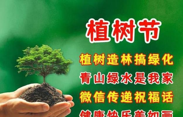 关于植树节的名句（从点滴做起，让爱回归大自然）