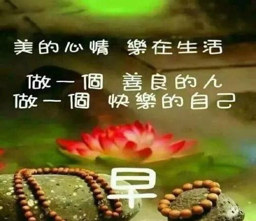 早上好用搞笑的文字要怎么说（清晨一曲，笑看人生）