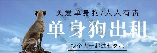 光棍节单身怎么发朋友圈（光棍节，我的幸福独立生活）