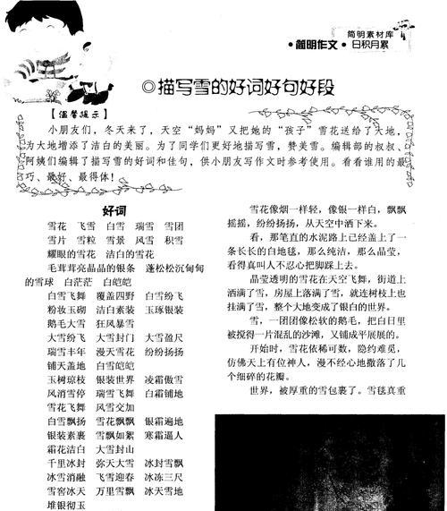 勇敢智慧的意思（探寻勇敢与智慧的深度，感受生命的力量）