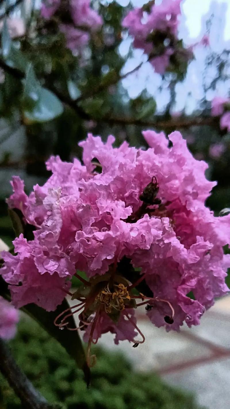 一场秋雨一场凉怎么说（一场秋雨一场凉，落叶飘零寒意浓）