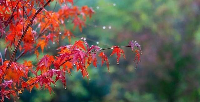 一场秋雨一场凉发朋友圈怎么说（一场秋雨一场凉）