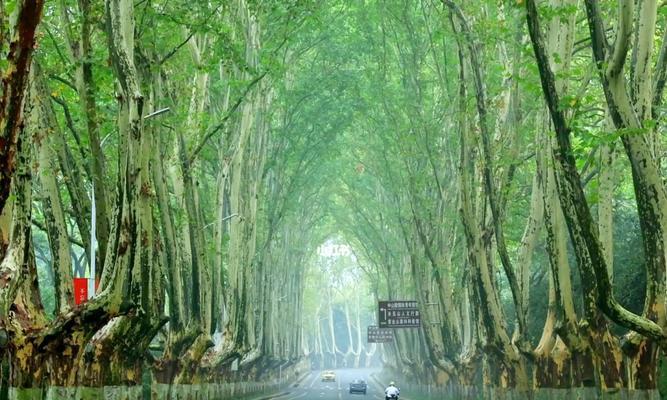 一场秋雨一场寒怎么发朋友圈（一场秋雨，一场寒意，一份感慨，一份思念）