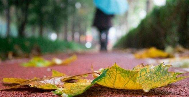 一场秋雨一场寒怎么发朋友圈（一场秋雨，一场寒意，一份感慨，一份思念）