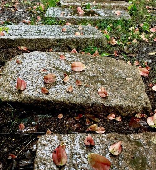 一场秋雨一场寒的朋友圈怎么发（以一场秋雨一场寒为主题的唯美短句）