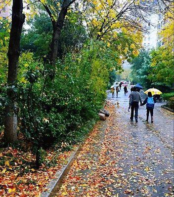 一场秋雨一场寒,怎么发朋友圈（秋雨寒意，诗意盎然——一场秋雨一场寒）