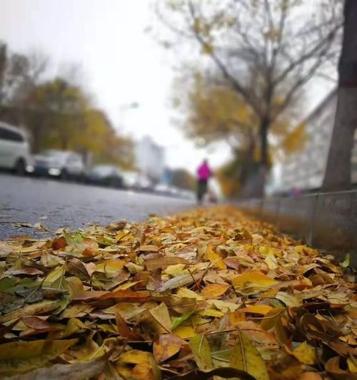 一场秋雨一场寒,怎么发朋友圈（一场秋雨淋湿了我的思绪）