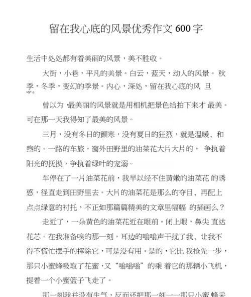 以这里的风景真美为话题的作文怎么写（《探险者的挑战——在这里的风景真美》）