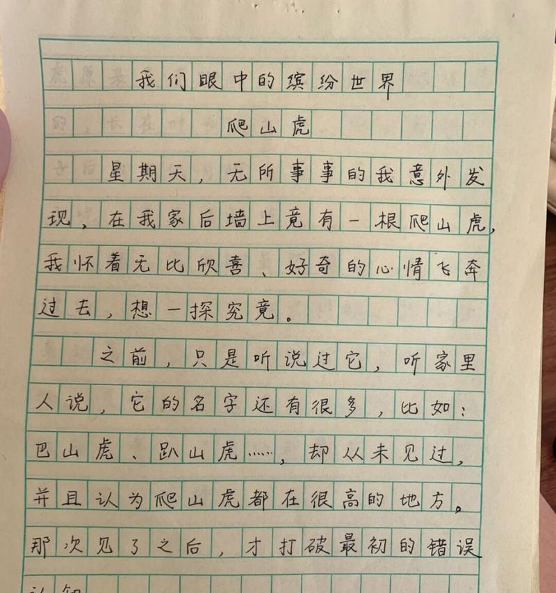 眼中的缤纷世界的作文怎么写（《彩虹的约定》）