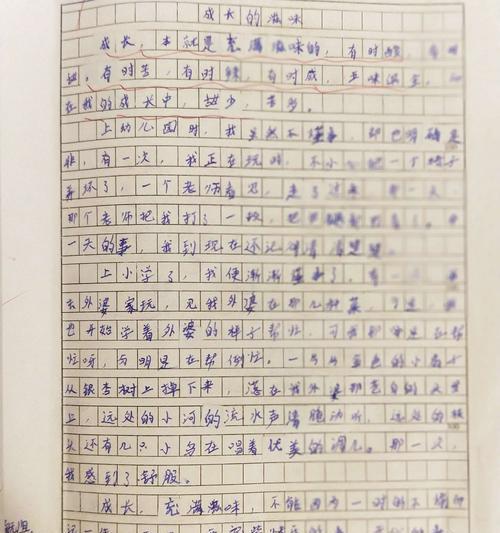 经历是一种收获作文500字作文（《我的经历是我的财富——一次充满收获的旅行》）