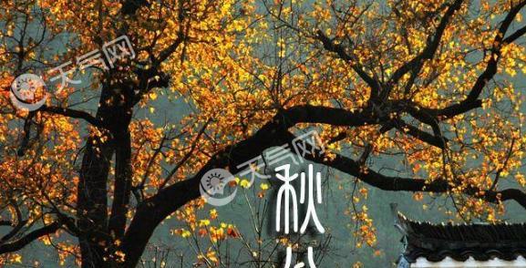 秋分节气怎么发朋友圈（丰收、感恩、清新、宁静）