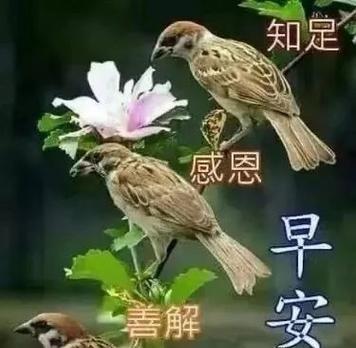 霜降季节的祝福短信（爱在霜降，温暖你我）