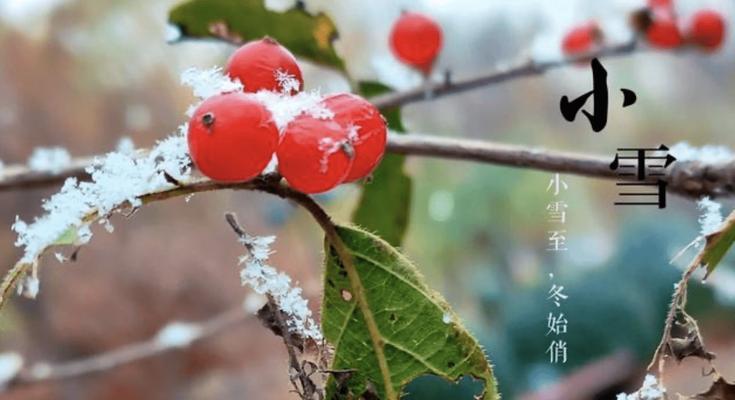 2024年小雪节气的含义是什么（小雪节气的美好世界）