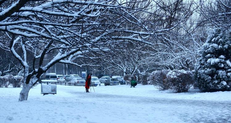 以瑞雪兆丰年为话题的作文怎么写（《2024瑞雪兆丰年》）